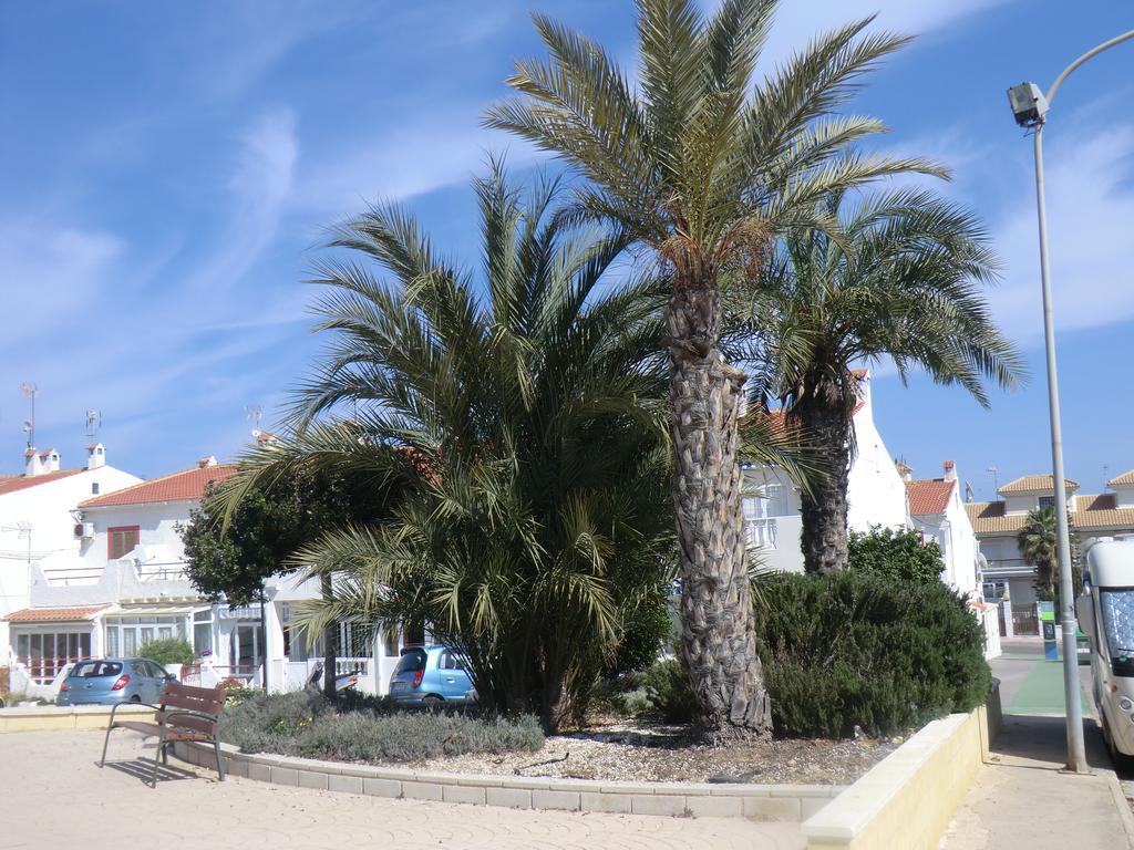 Casas Holiday - Playa La Mata 1 Torrevieja Dış mekan fotoğraf